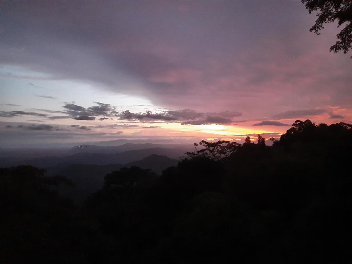 Glenmyu Estate Daire Haputale Dış mekan fotoğraf