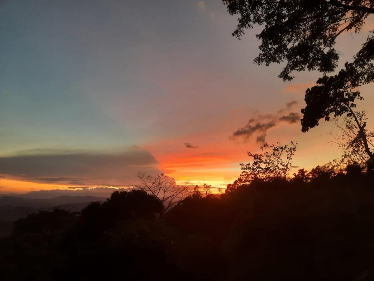 Glenmyu Estate Daire Haputale Dış mekan fotoğraf
