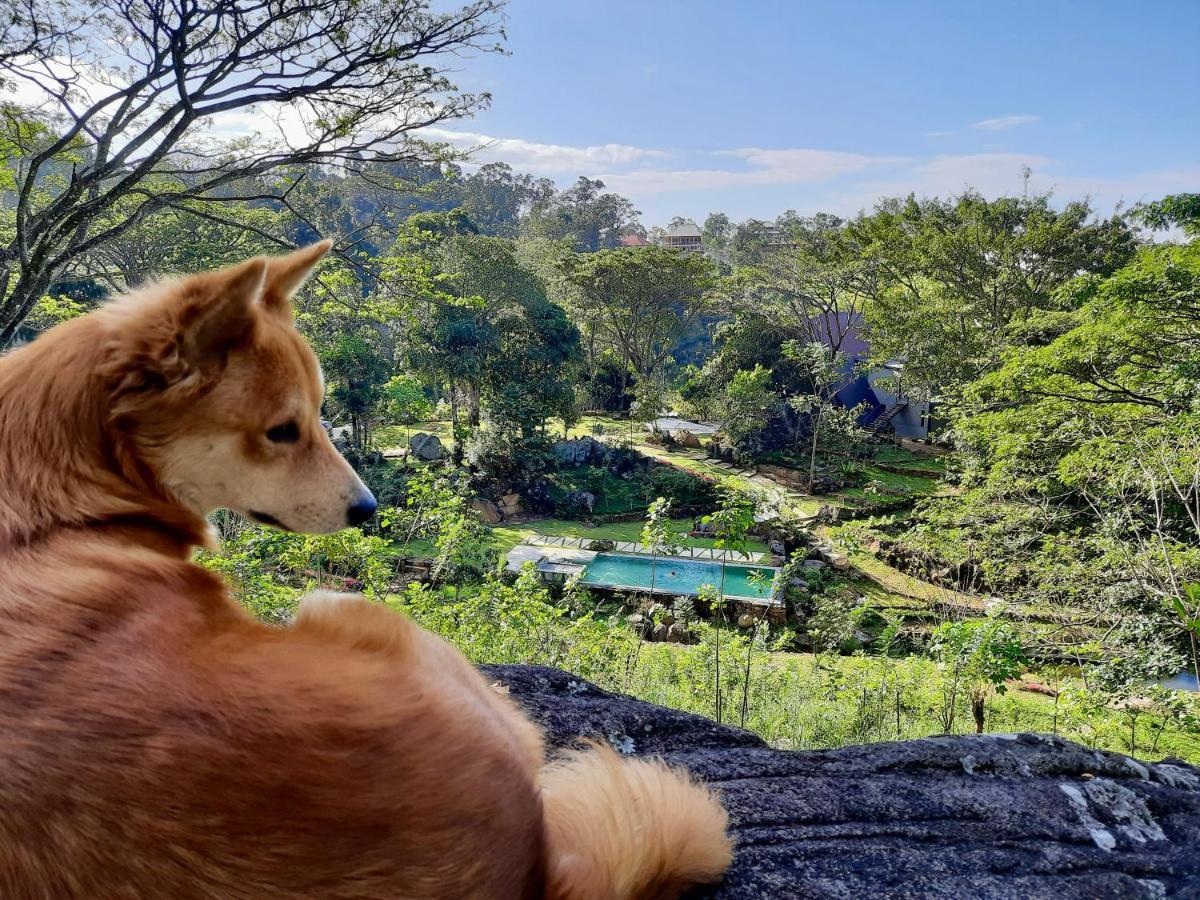 Glenmyu Estate Daire Haputale Dış mekan fotoğraf