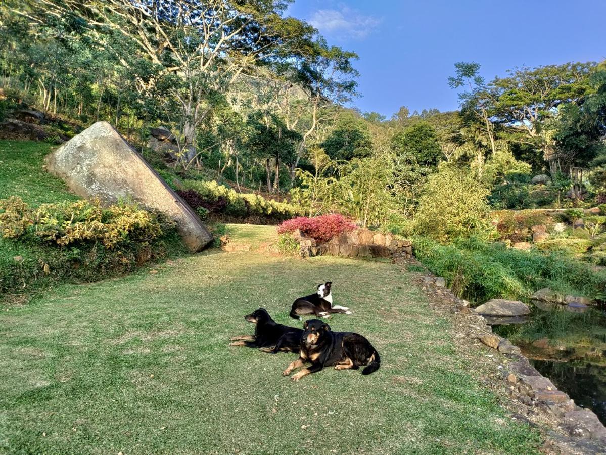 Glenmyu Estate Daire Haputale Dış mekan fotoğraf